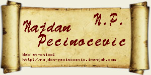 Najdan Pečinoćević vizit kartica
